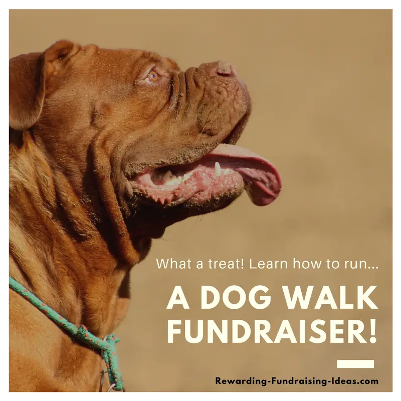 Dog Walk Fundraiser - Rewarding Fundraising Ideas