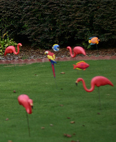 The super fun Flamingo Fundraiser. Find out how! (Photo by Nick Gray / Flickr)